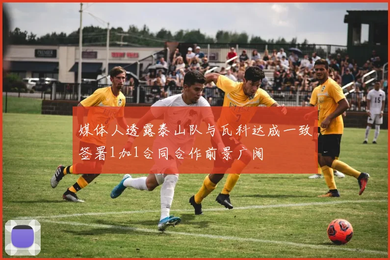 媒体人透露泰山队与瓦科达成一致签署1加1合同合作前景广阔