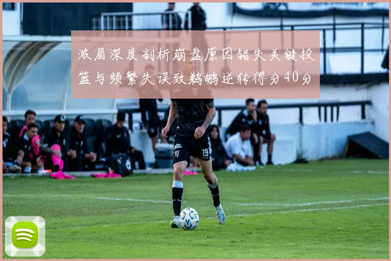 浓眉深度剖析崩盘原因错失关键投篮与频繁失误致鹈鹕逆转得分40分
