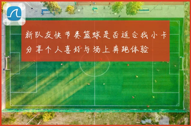 新队友快节奏篮球是否适合我小卡分享个人喜好与场上奔跑体验