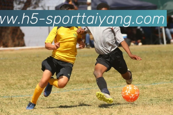 太阳城APP 封面图